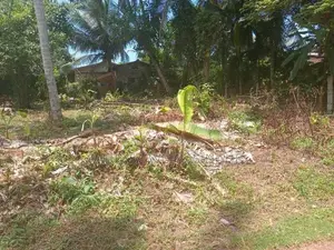 ඉඩම් දෙකක් විකිණීමට ඇත Moronthuduwa In Wadduwa