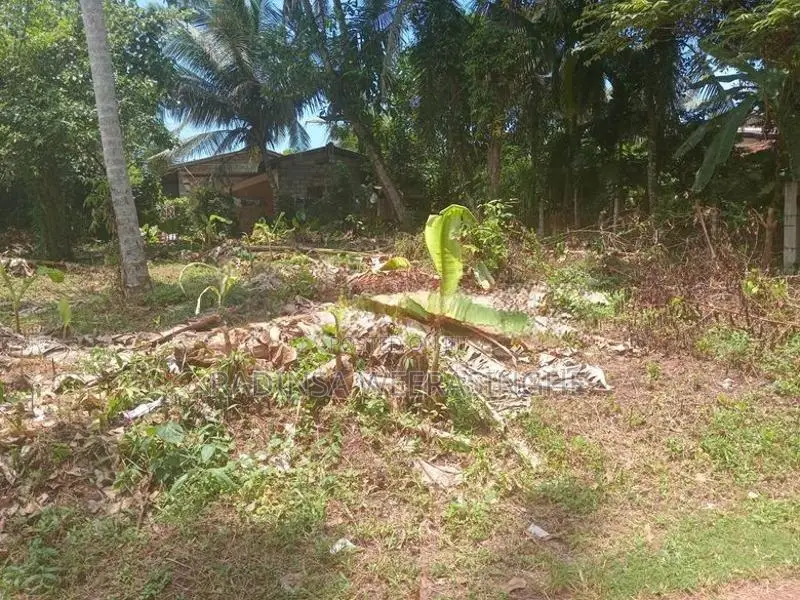 ඉඩම් දෙකක් විකිණීමට ඇත Moronthuduwa In Wadduwa