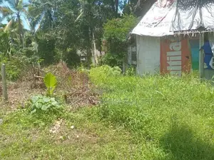 ඉඩම් දෙකක් විකිණීමට ඇත Moronthuduwa In Wadduwa