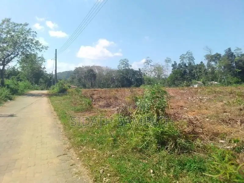 ඉතාම ඉක්මන් විකිණීමට හොරණින් අනර්ඝ ඉඩමක්