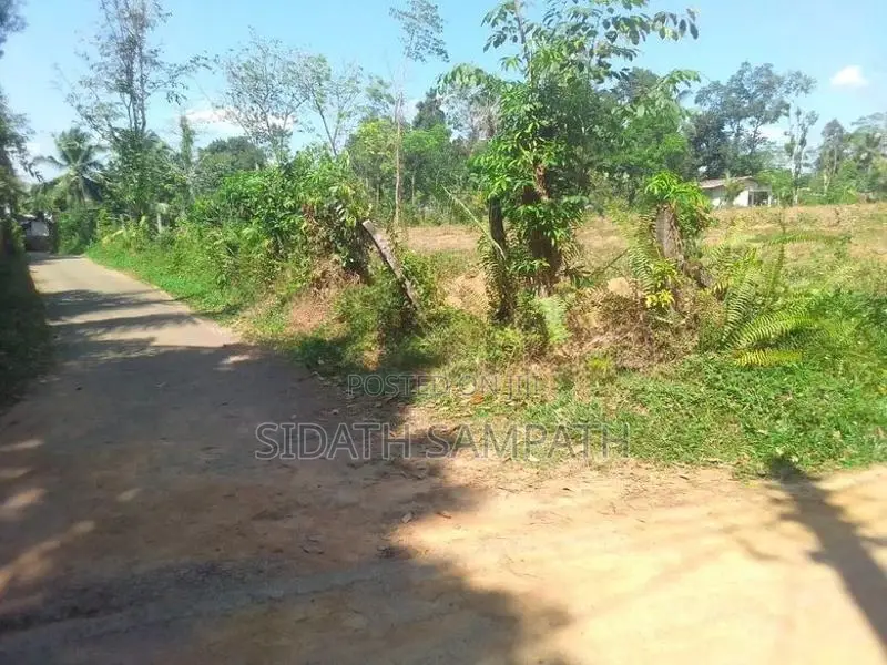 ඉතාම ඉක්මන් විකිණීමට හොරණින් අනර්ඝ ඉඩමක්