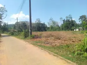 ඉතාම ඉක්මන් විකිණීමට හොරණින් අනර්ඝ ඉඩමක්
