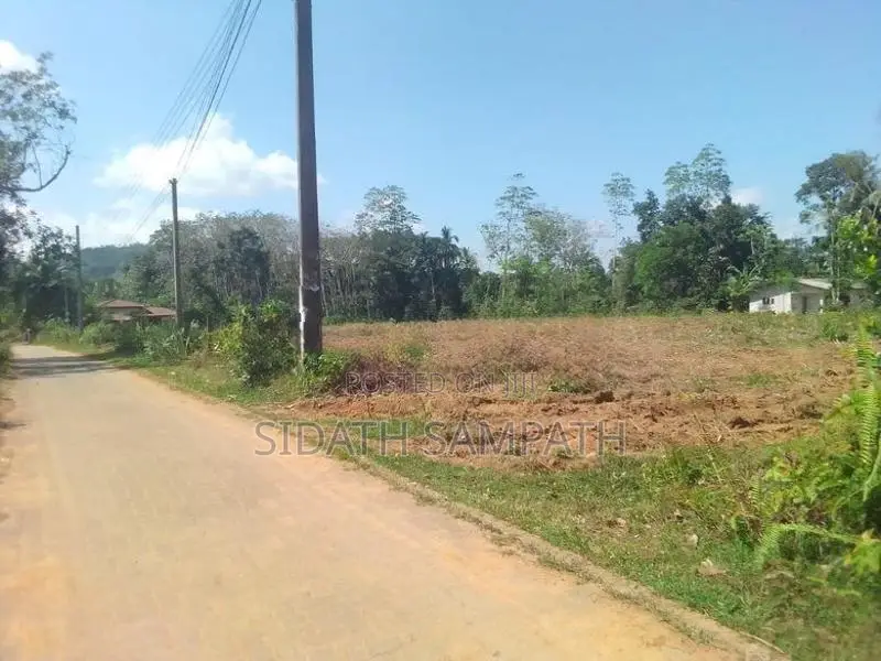 ඉතාම ඉක්මන් විකිණීමට හොරණින් අනර්ඝ ඉඩමක්
