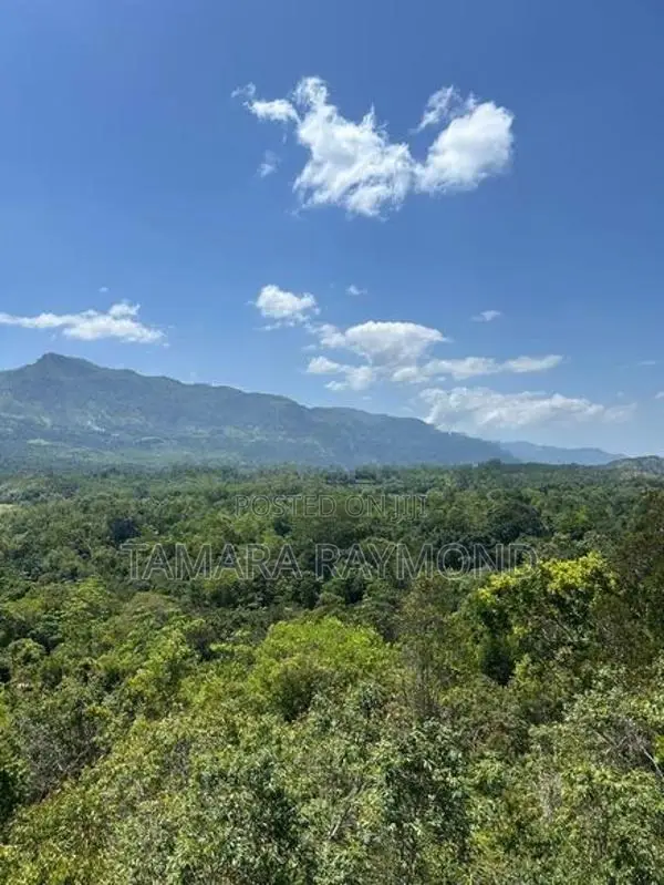 Haldamulla Land for Sale (haputale)