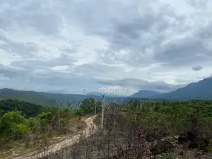 Haldamulla Land for Sale (haputale)