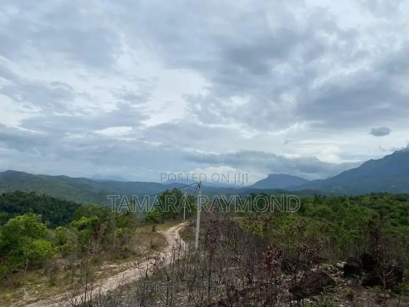 Haldamulla Land for Sale (haputale)