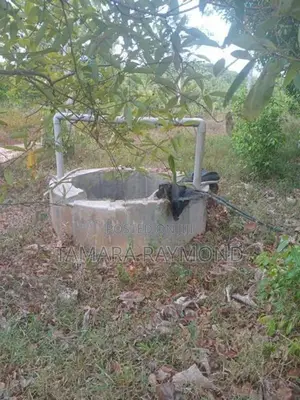 Haldamulla Land for Sale (haputale)