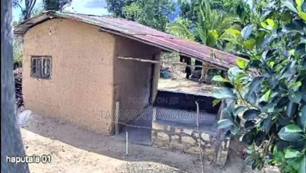 Haldamulla Land for Sale (haputale)