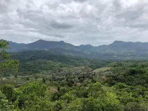 Haldamulla Land for Sale (haputale)