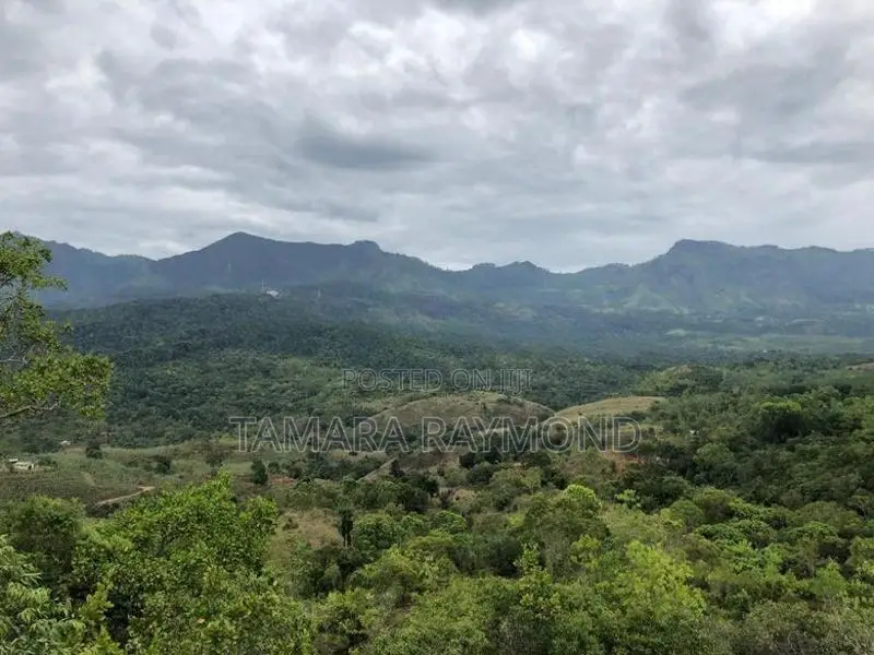 Haldamulla Land for Sale (haputale)