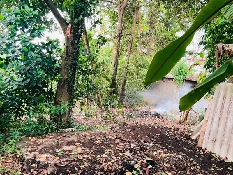 Land for Sale in Wattala