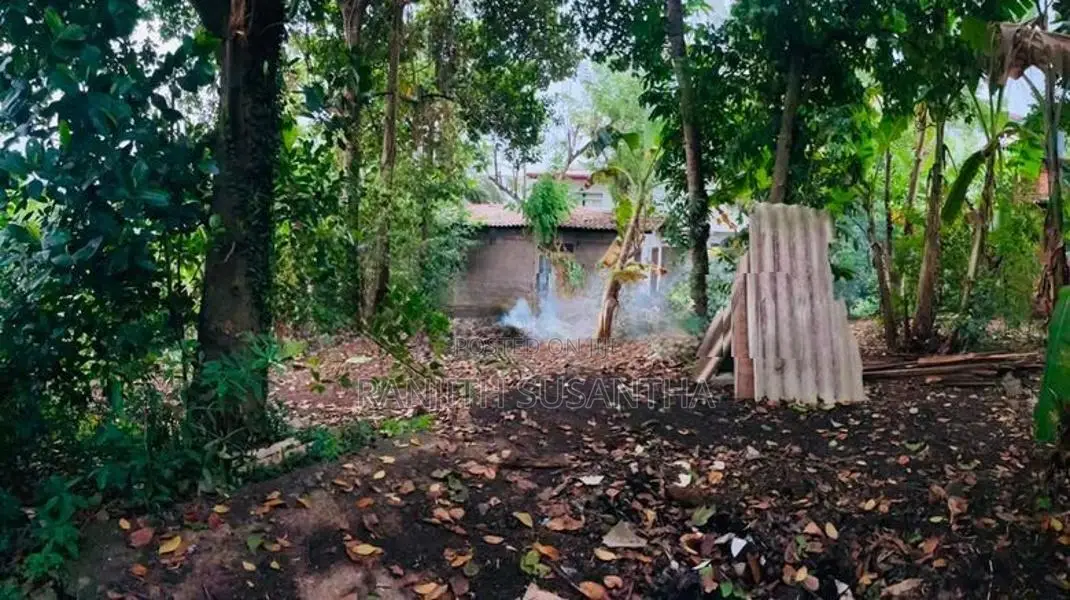 Land for Sale in Wattala