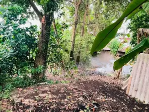 Land for Sale in Wattala