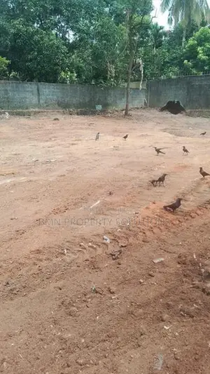 Valuable Land For Sale