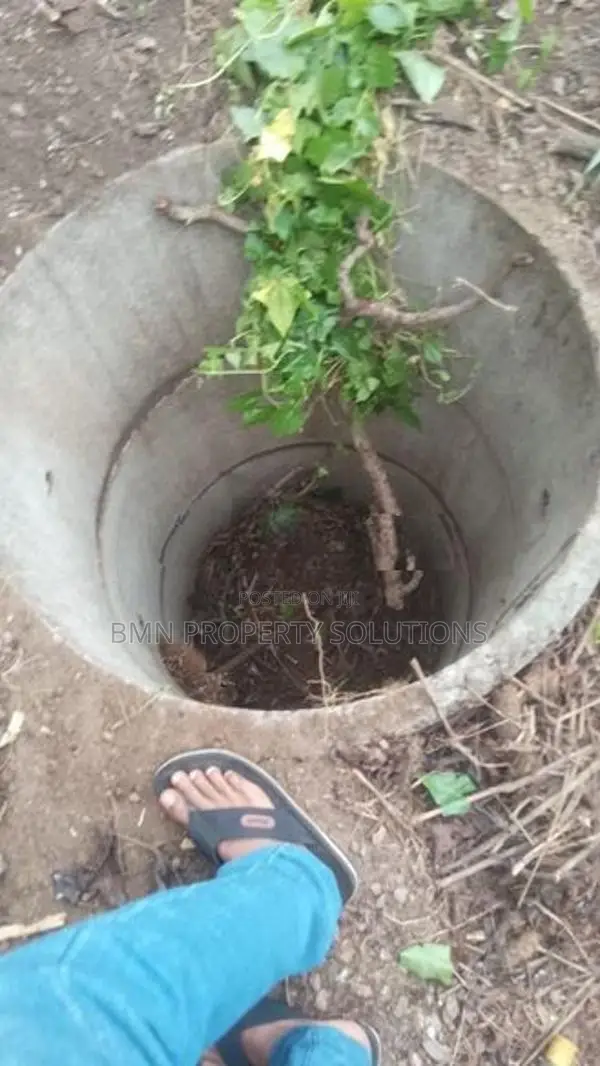 Valuable Land For Sale