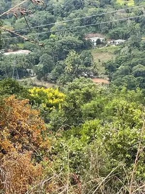 Land for Sale Dunuwangiya