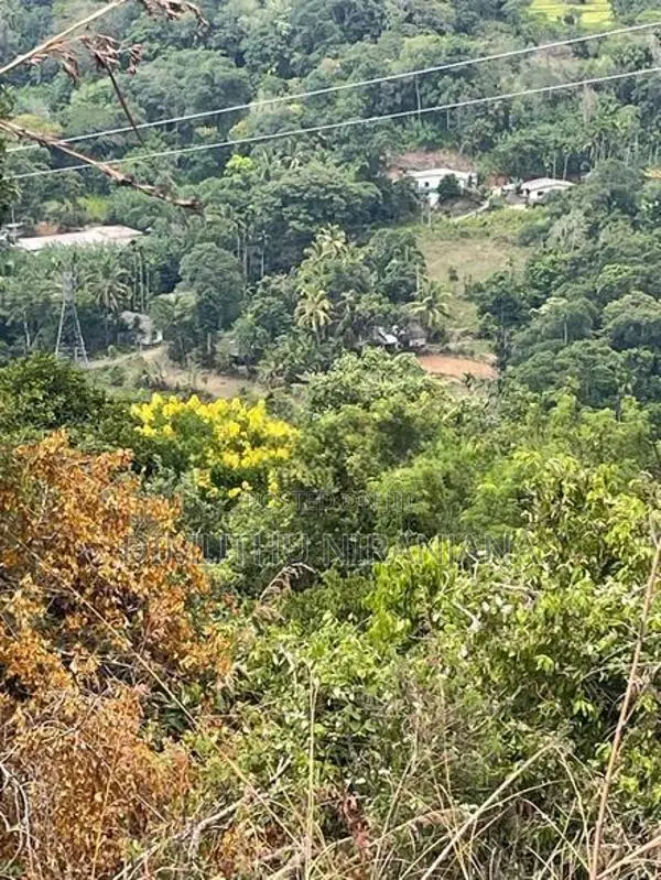 Land for Sale Dunuwangiya