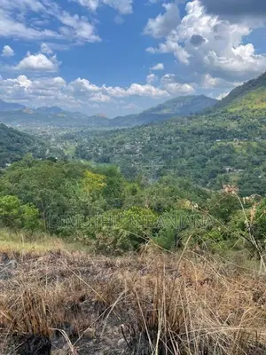 Land for Sale Dunuwangiya