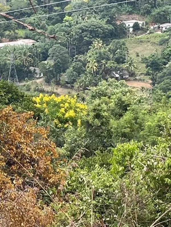 Land for Sale Dunuwangiya