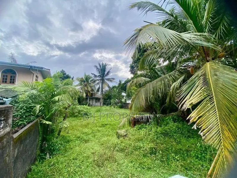 (TS-1211) Valuable Residential Bare Land Sale in Homagama