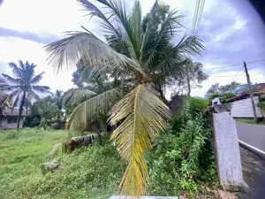 (TS-1211) Valuable Residential Bare Land Sale in Homagama