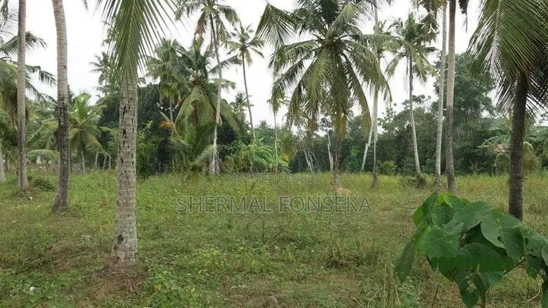 Negombo Miriswatte bus road facing land on sale warehouse factory yard