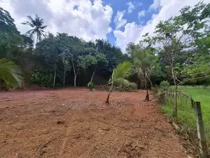 Ganemulla Land For Sale