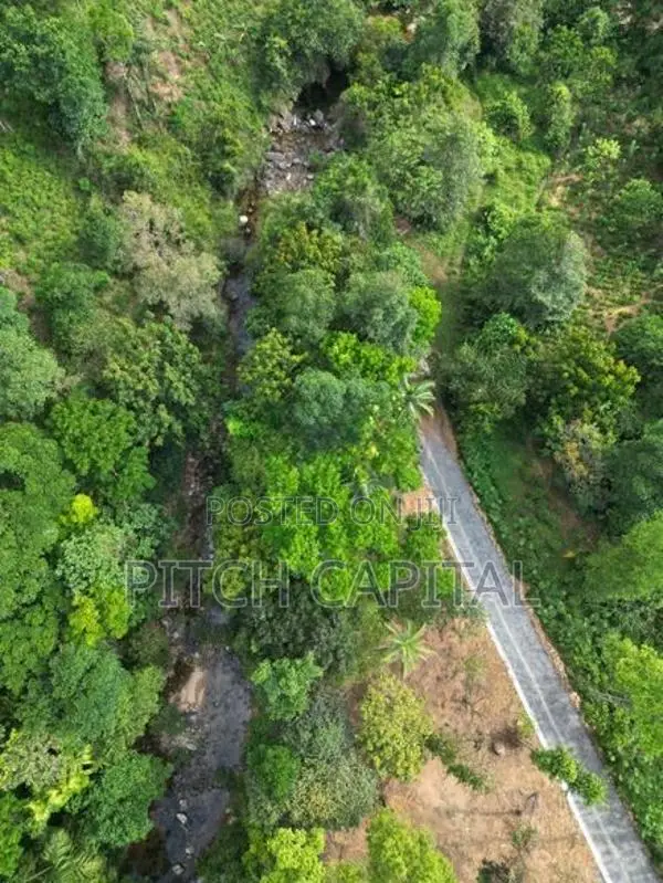 සුන්දර ඔයකට මායිම්ව කබානා ව්‍යාපෘතියකට වටිනා බිම්කොටස් විකිණීමටඇත