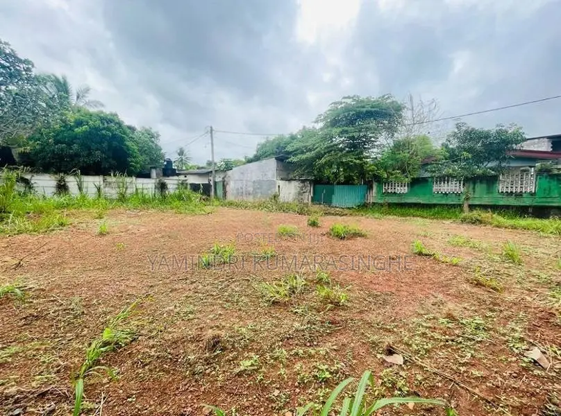 Land For Sale Gampaha