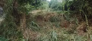 Land for Sale Boyagama