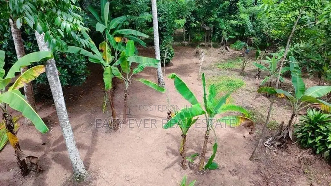 ගිරිඋල්ලෙන් වටිනා ඉඩමක්