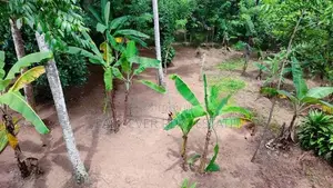 ගිරිඋල්ලෙන් වටිනා ඉඩමක්