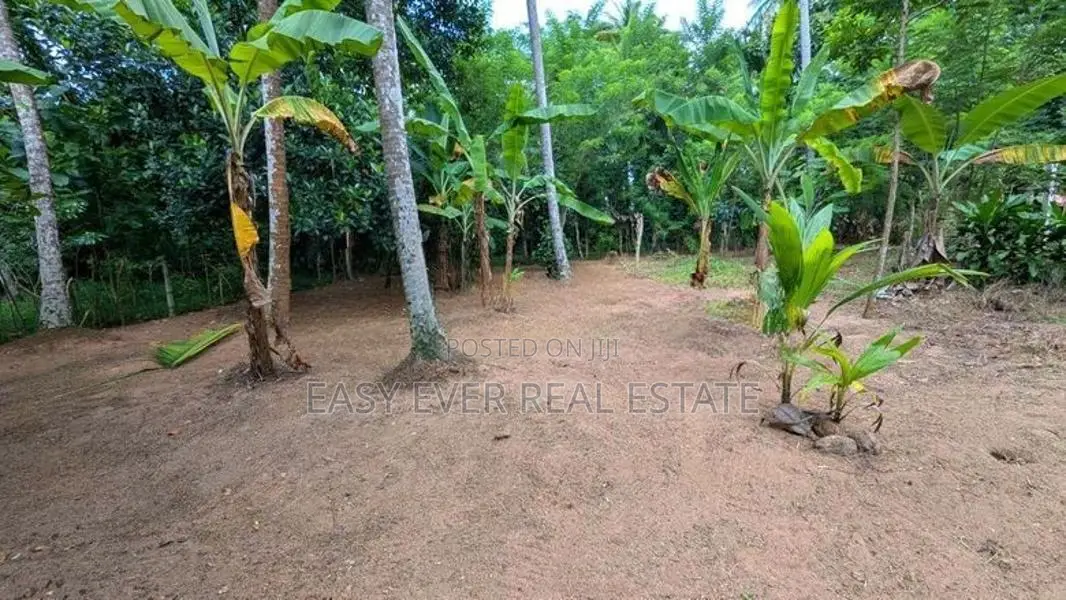 ගිරිඋල්ලෙන් වටිනා ඉඩමක්