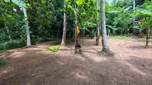 ගිරිඋල්ලෙන් වටිනා ඉඩමක්