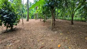 ගිරිඋල්ලෙන් වටිනා ඉඩමක්