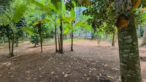 ගිරිඋල්ලෙන් වටිනා ඉඩමක්