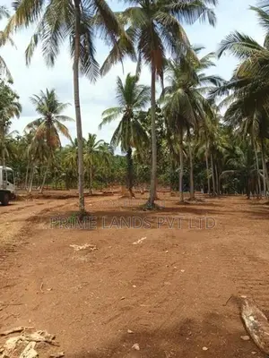 කුරුණෑගල නුවර පාර සමිපයෙන් ඉඩමක් විකිණීමට