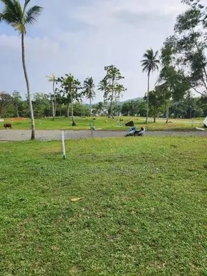 හික්කඩුව සංචාරක ඉඩම