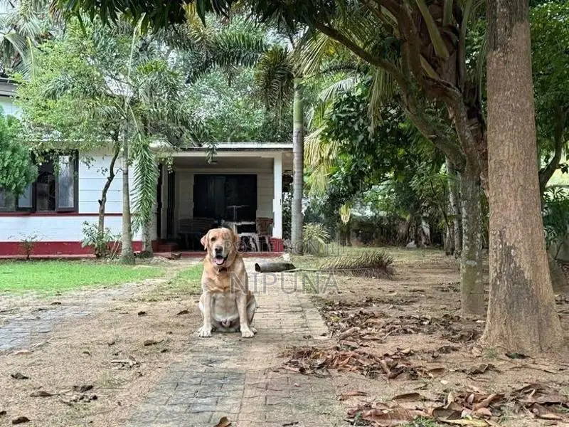 Hotel For Sale – Madaketiya, Tangalle In Tangalla