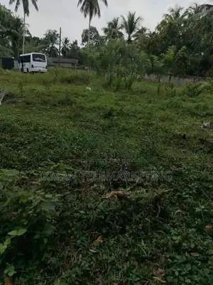 Land for sale in Putupagala, Vanathewatta (69 Perches)