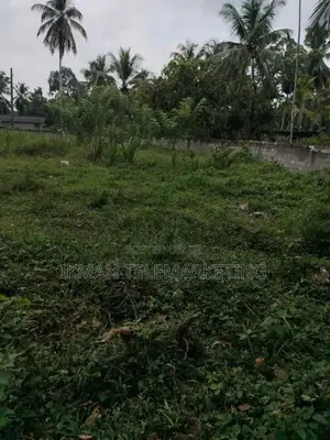 Land for sale in Putupagala, Vanathewatta (69 Perches)