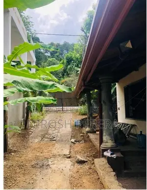 Prime 25-Perch Property For Sale – Matale