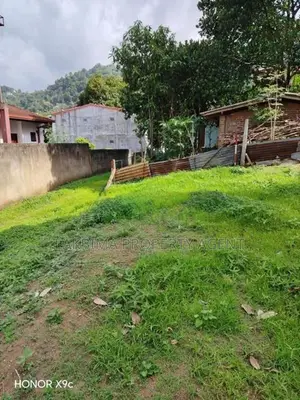 Land For Sale in Digana