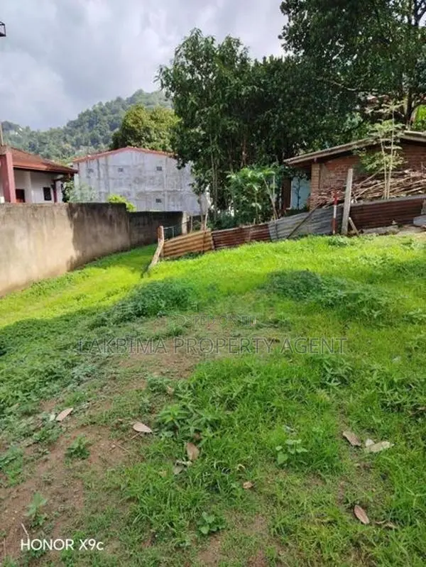 Land For Sale in Digana
