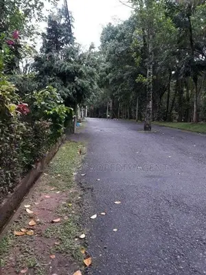 Land For Sale in Digana