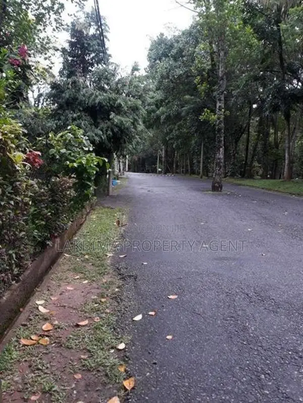 Land For Sale in Digana
