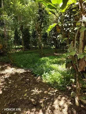 Land For Sale in Digana