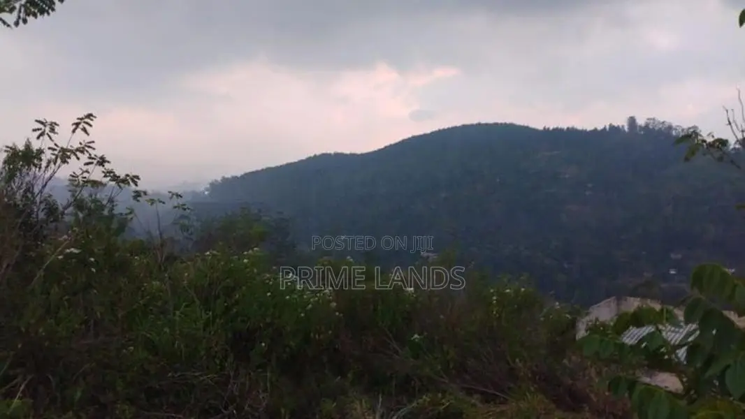 Valuable Land for Sale in Bandarawela Kontehela