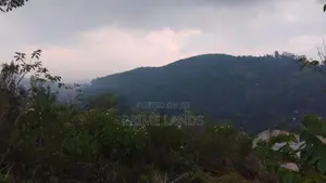 Valuable Land for Sale in Bandarawela Kontehela