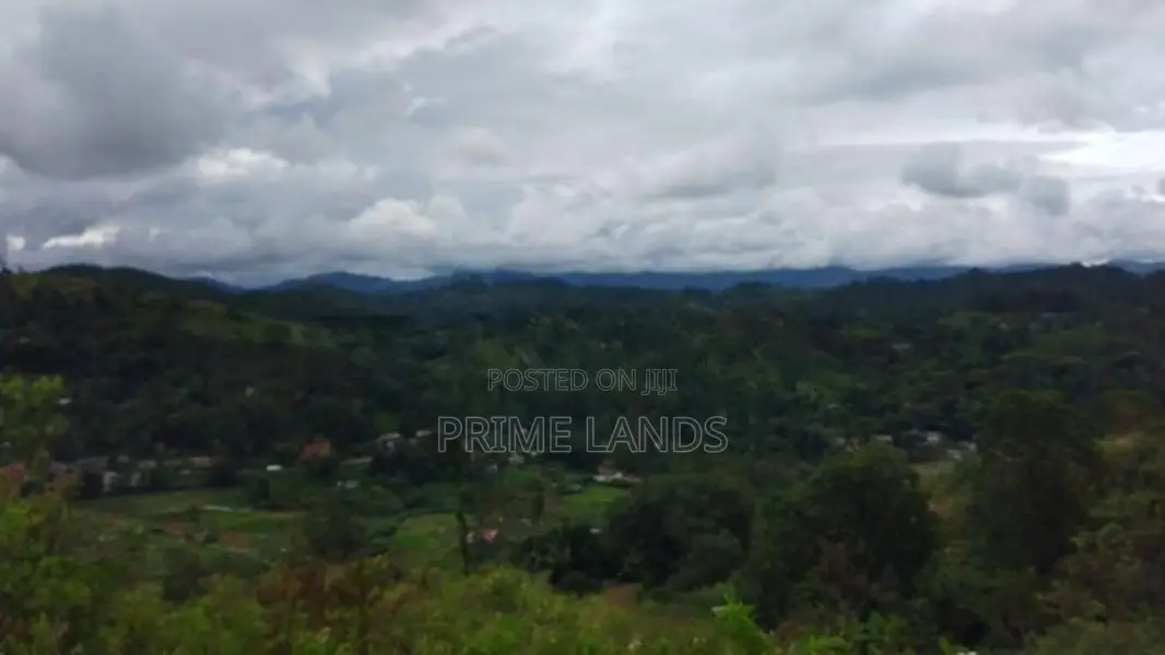 Valuable Land for Sale in Bandarawela Kontehela